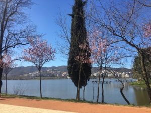 Foto del lago artificiale e del parco